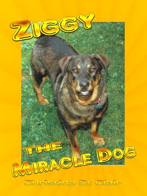 cover image of Ziggy the Miracle Dog